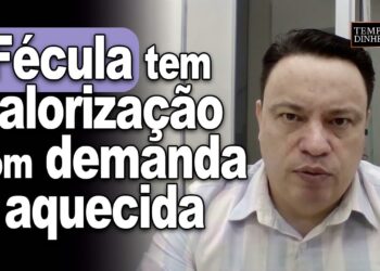 Fécula tem valorização com demanda aquecida, ao contrário da farinha, informa Fábio Isaias Felipe