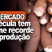 Mandioca: mercado de fécula tem volume recorde de produção, informa Fabio Isaías Felipe, do CEPEA