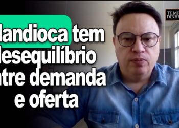 Mandioca tem desequilíbrio entre demanda e oferta, informa Fabio Isaías Felipe, do CEPEA