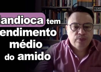 Mandioca tem rendimento médio do amido menor que em 2023, informa Fabio Isaías Felipe, do CEPEA