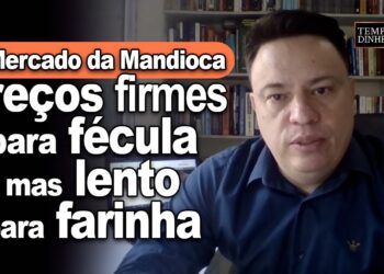 Mercado da mandioca tem preços firmes para fécula mas lento para farinha, diz Fábio Felipe do CEPEA