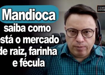 Mandioca : saiba como está o mercado de raiz, farinha e fécula com Fábio Isaías Felipe, do CEPEA