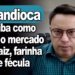 Mandioca : saiba como está o mercado de raiz, farinha e fécula com Fábio Isaías Felipe, do CEPEA