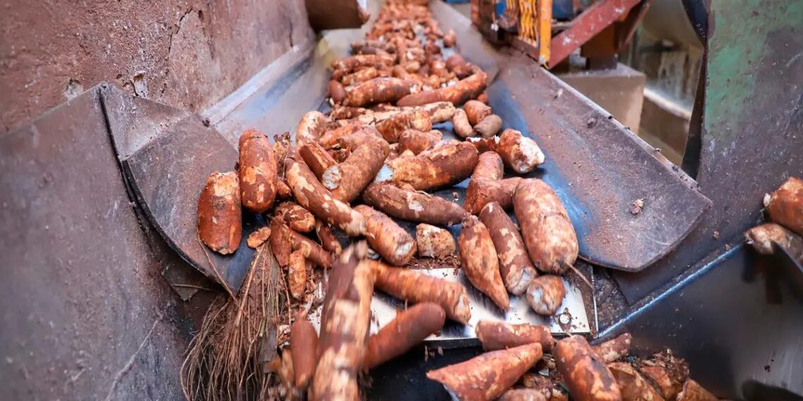 Congresso atende a pedido do setor produtivo e inclui mandioca e derivados na cesta básica nacional