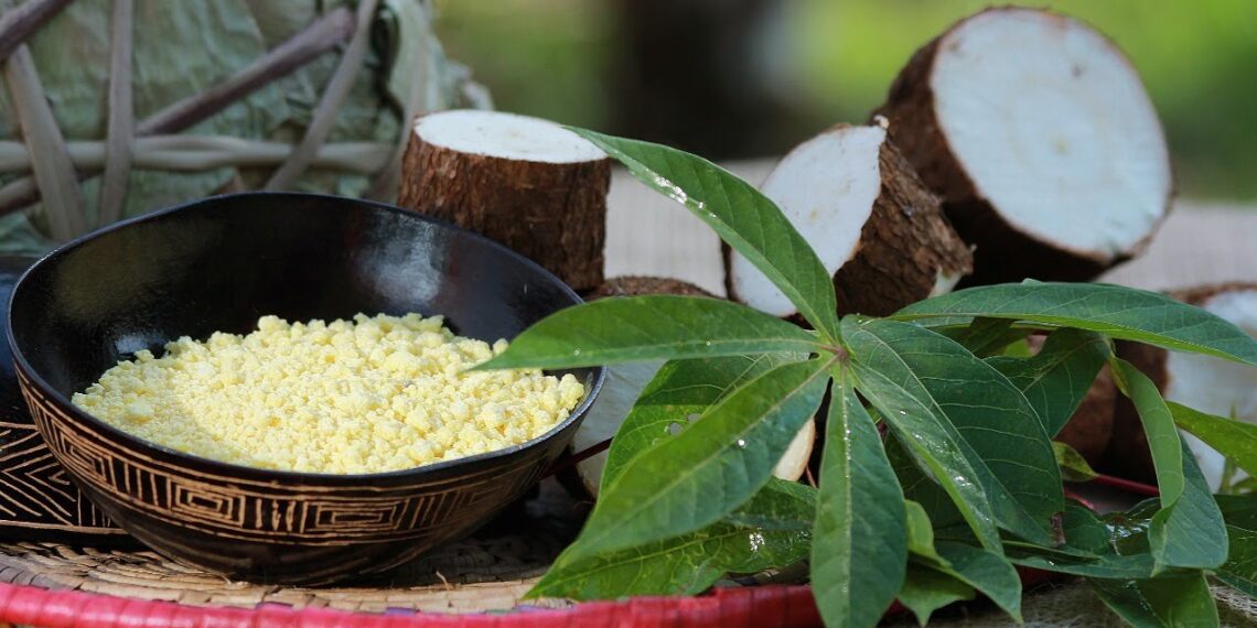 Workshop Internacional sobre Emergência Sanitária da Cultura da Mandioca na Amazônia