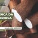 Doença fúngica da mandioca se espalha pelo Pará e acende alerta para fronteira com Maranhão