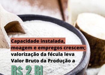 Capacidade instalada, moagem e empregos crescem: valorização da fécula leva valor bruto da produção a R$ 2 BI