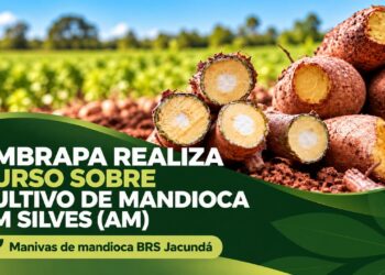 Embrapa realiza curso sobre cultivo de mandioca no Amazonas